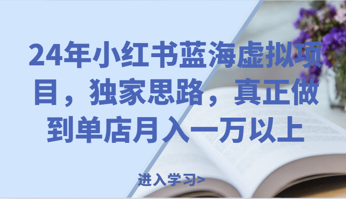 24年小红书蓝海虚拟项目，独家思路，真正做到单店月入一万以上。-理想项目库