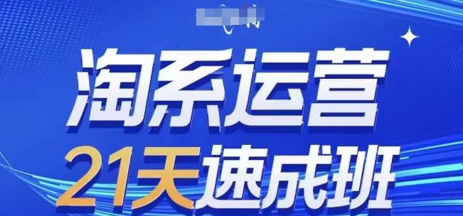 淘系运营21天速成班(更新24年8月)，0基础轻松搞定淘系运营，不做假把式-理想项目库