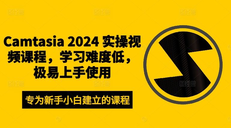 Camtasia 2024 实操视频课程，学习难度低，极易上手使用-理想项目库
